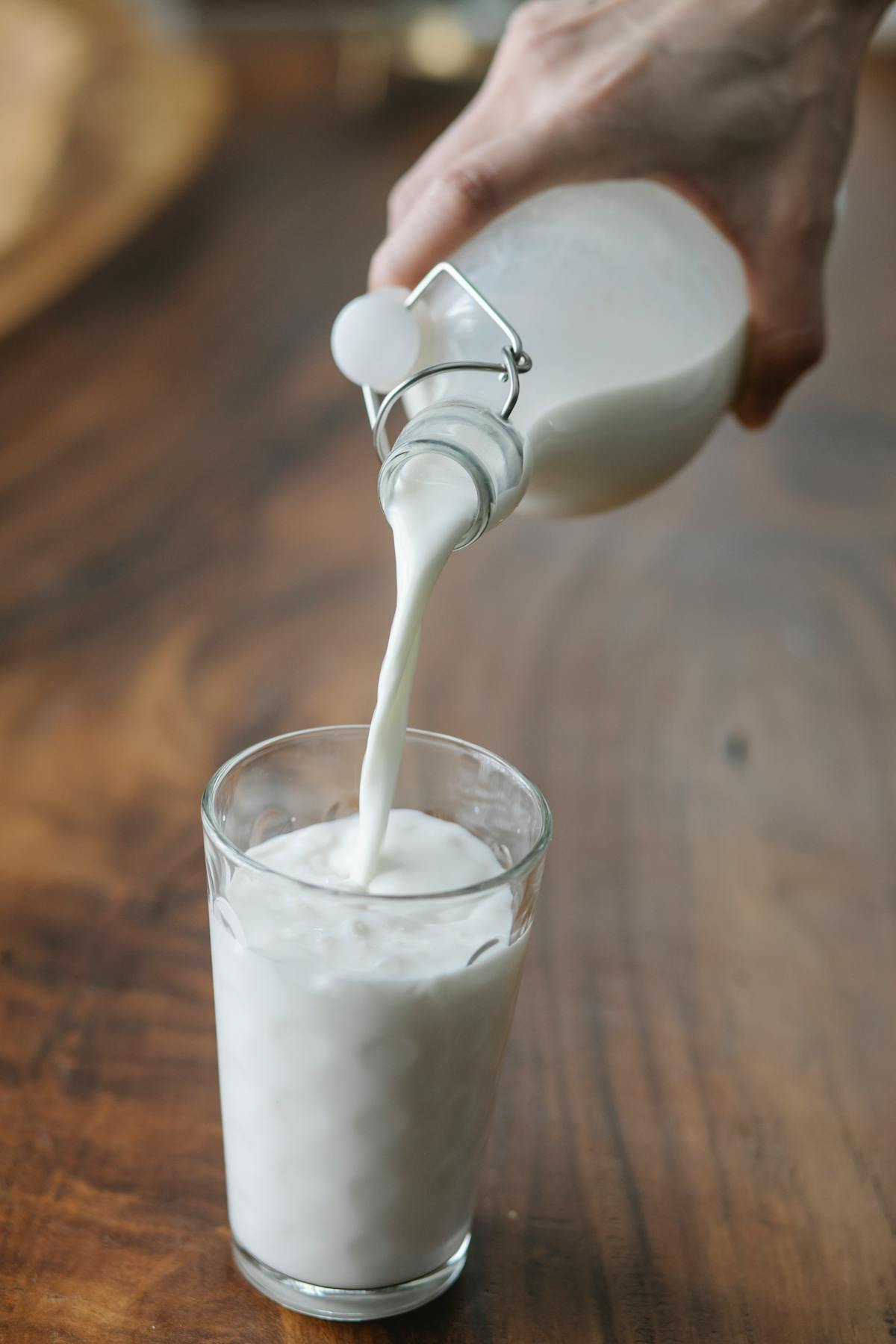 Grains de kéfir dans une main — partage entre membres